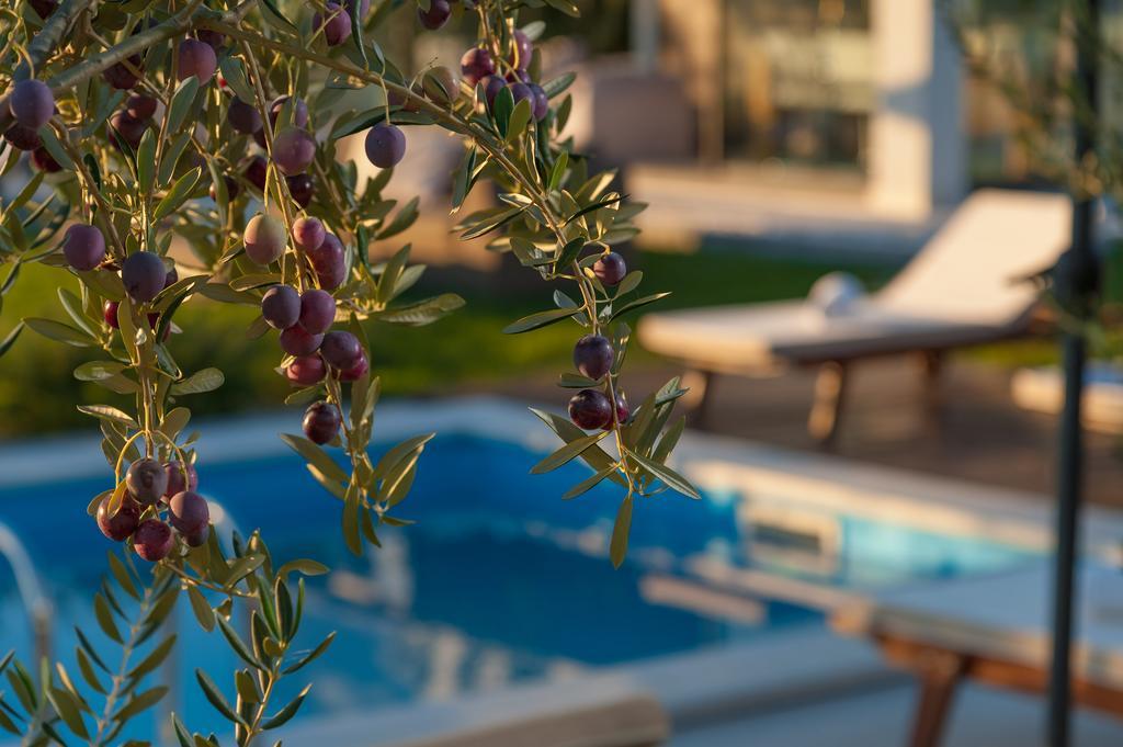 Luxury Villa Luminosa 스플리트 외부 사진